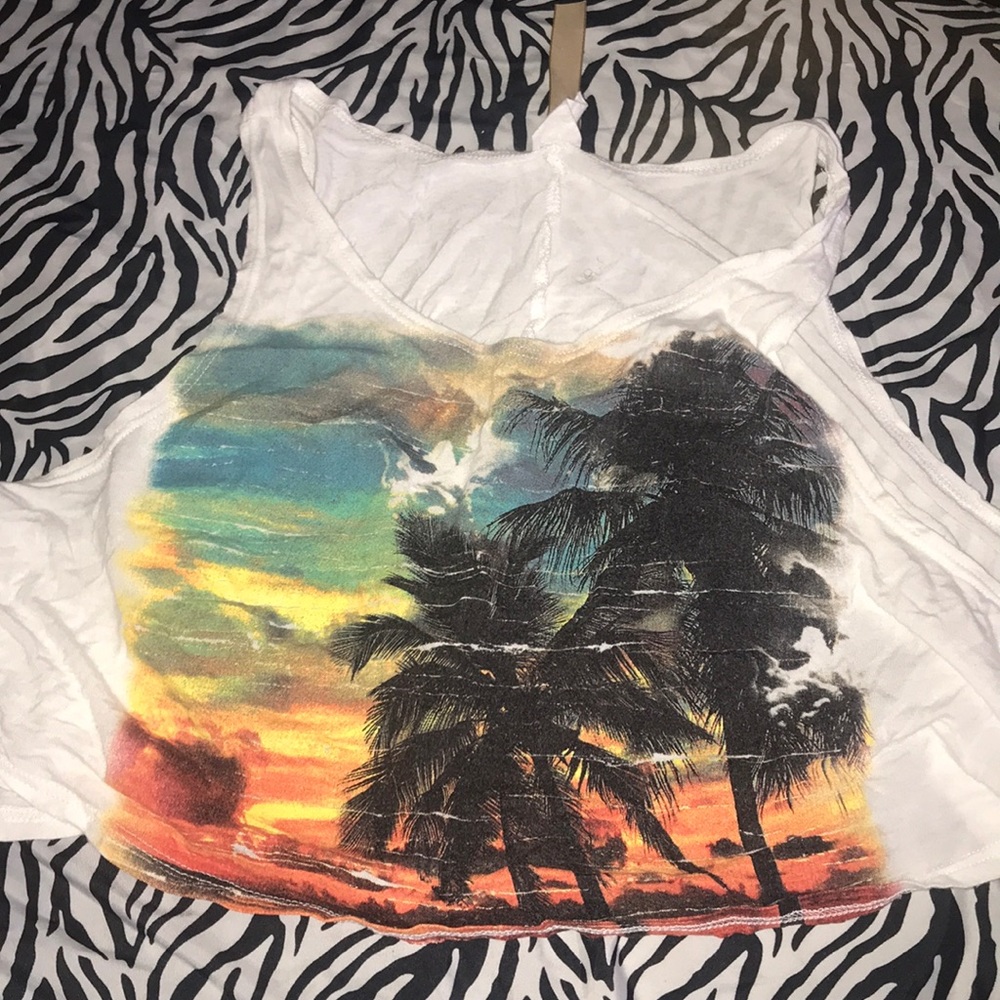 Sunset Crop Top